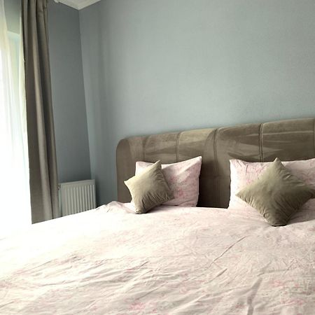 Tiberiu Ricci Apartament シビウ エクステリア 写真