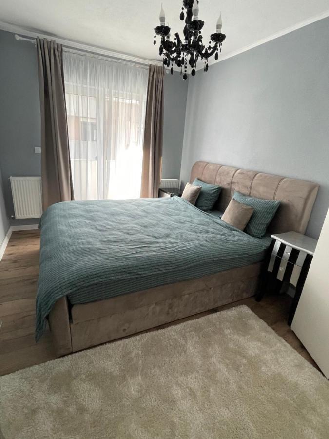 Tiberiu Ricci Apartament シビウ エクステリア 写真
