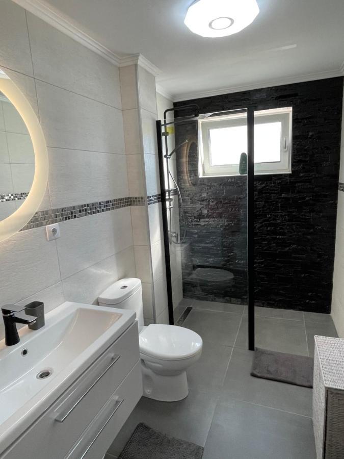 Tiberiu Ricci Apartament シビウ エクステリア 写真