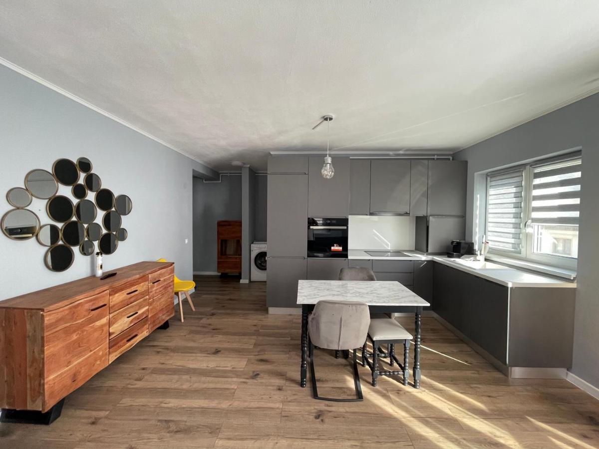 Tiberiu Ricci Apartament シビウ エクステリア 写真