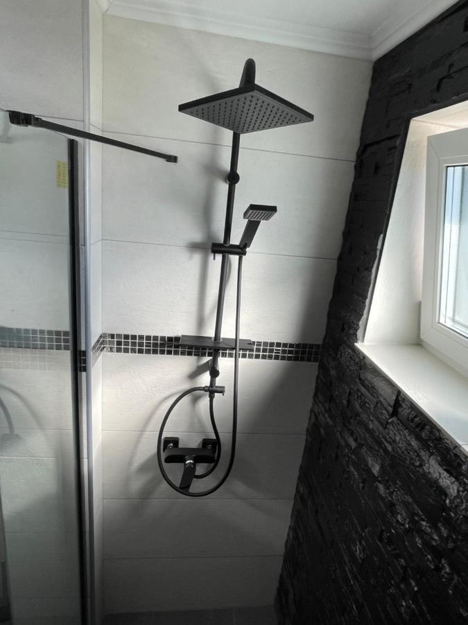 Tiberiu Ricci Apartament シビウ エクステリア 写真