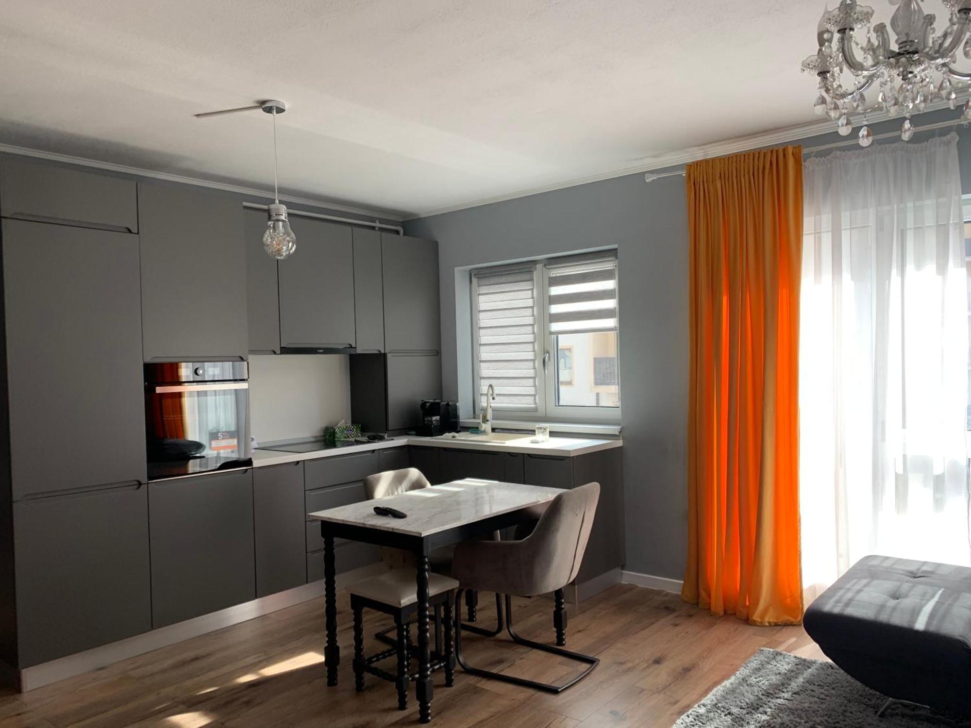 Tiberiu Ricci Apartament シビウ エクステリア 写真